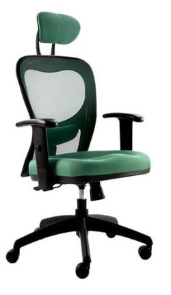 SILLON CITIZ