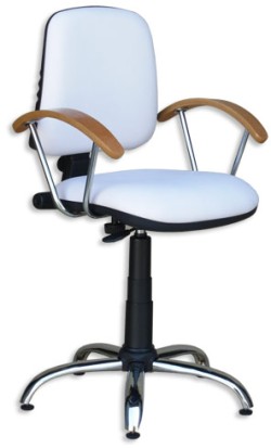 SILLON ROBY CMH
